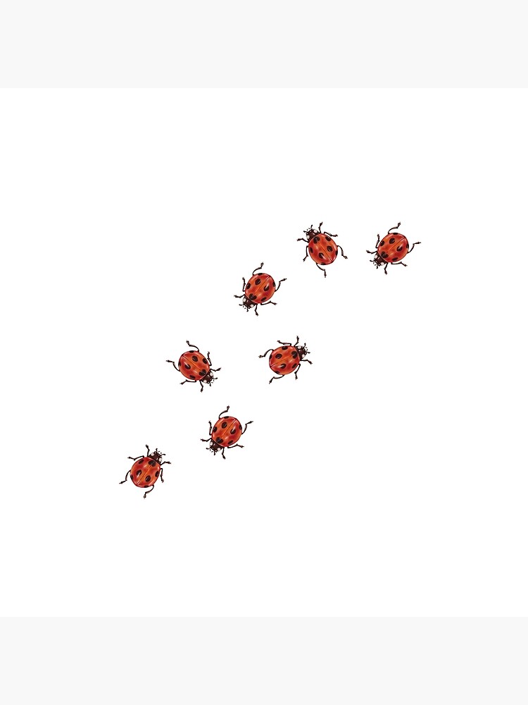 Noah Kahan Great Divide Ladybug Tapestry - Image 2