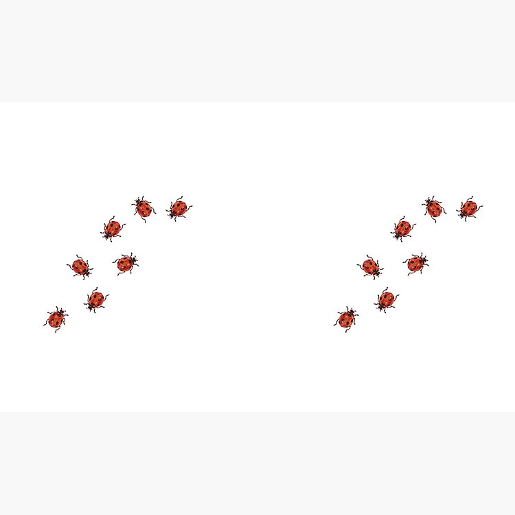 Noah Kahan Great Divide Ladybug Mug - Image 3
