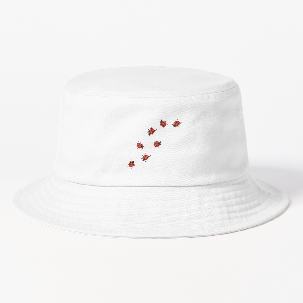 Noah Kahan Great Divide Ladybug Art Bucket Hat