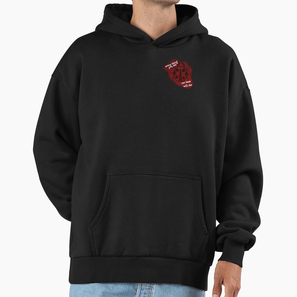 Noah Kahan End Of August Ladybug Hoodie - Image 2