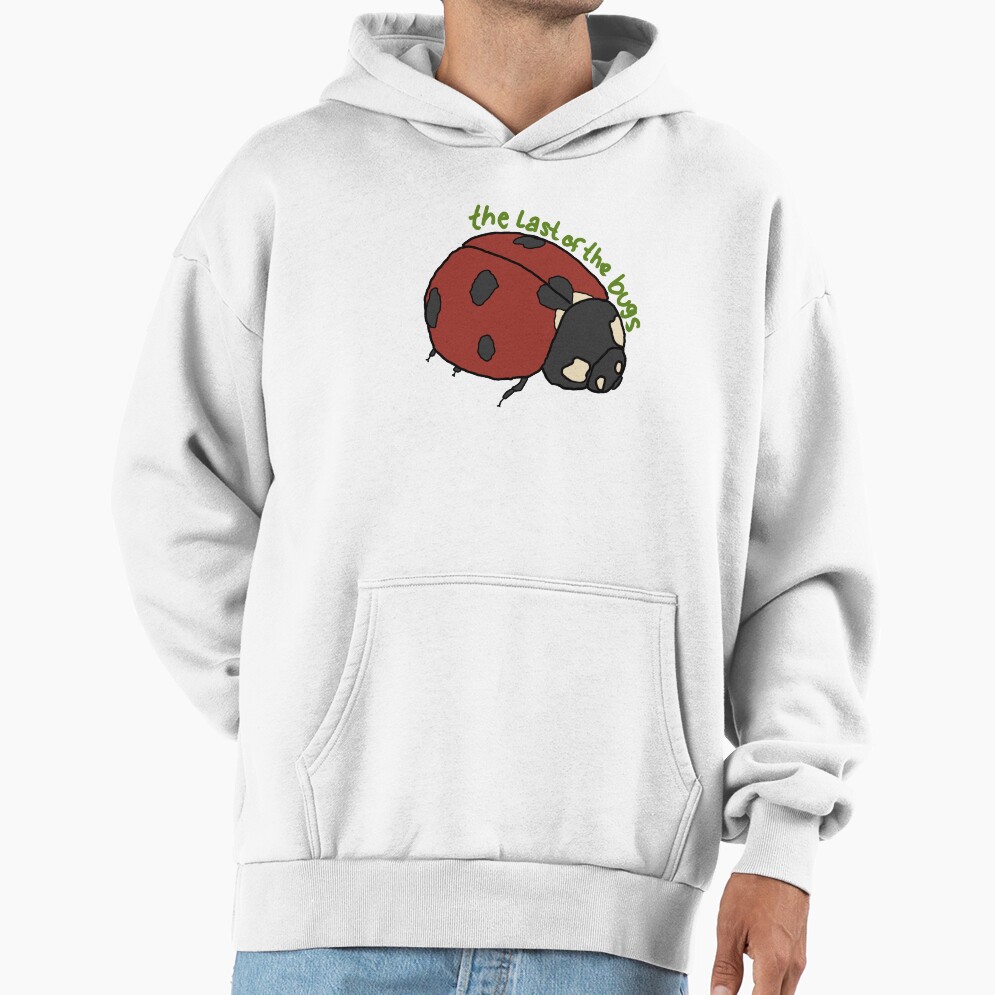 Noah Kahan The Last Of The Bugs Hoodie - Image 2