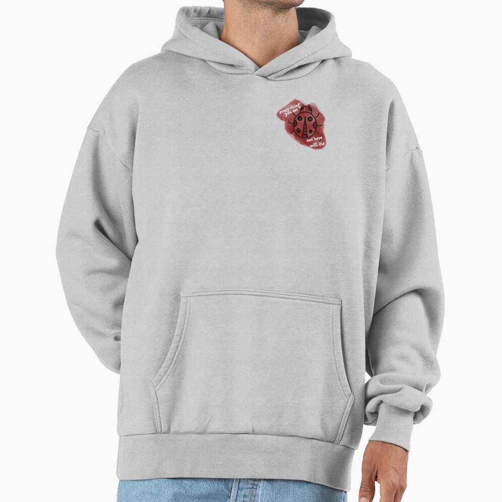 Noah Kahan End Of August Ladybug Hoodie - Image 4