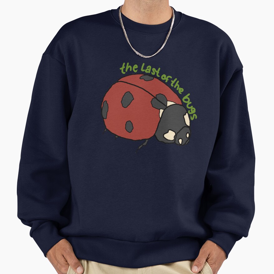 Noah Kahan The Last Of The Bugs Sweatshirt - Image 5