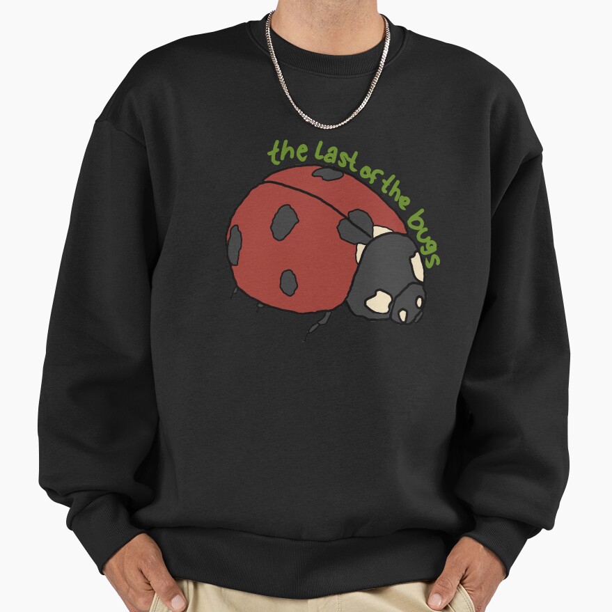 Noah Kahan The Last Of The Bugs Sweatshirt