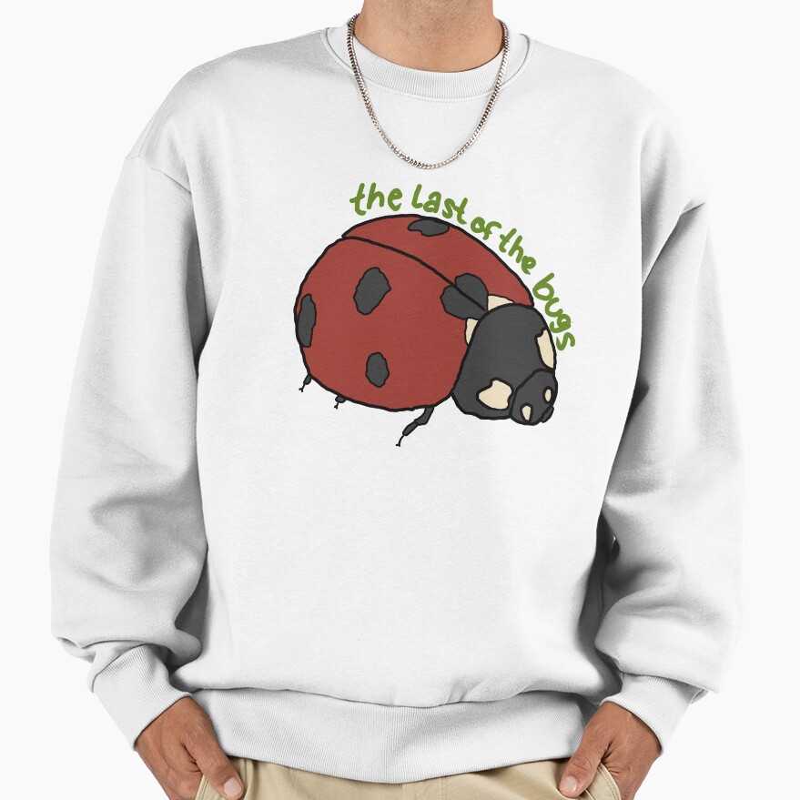 Noah Kahan The Last Of The Bugs Sweatshirt - Image 2