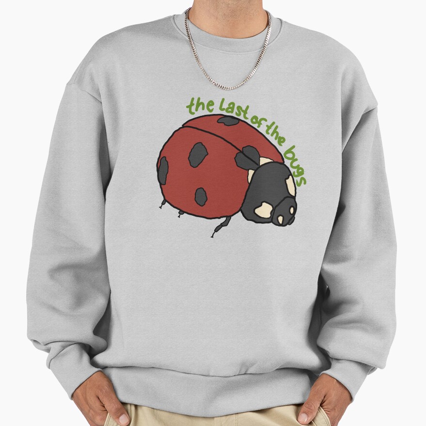 Noah Kahan The Last Of The Bugs Sweatshirt - Image 4