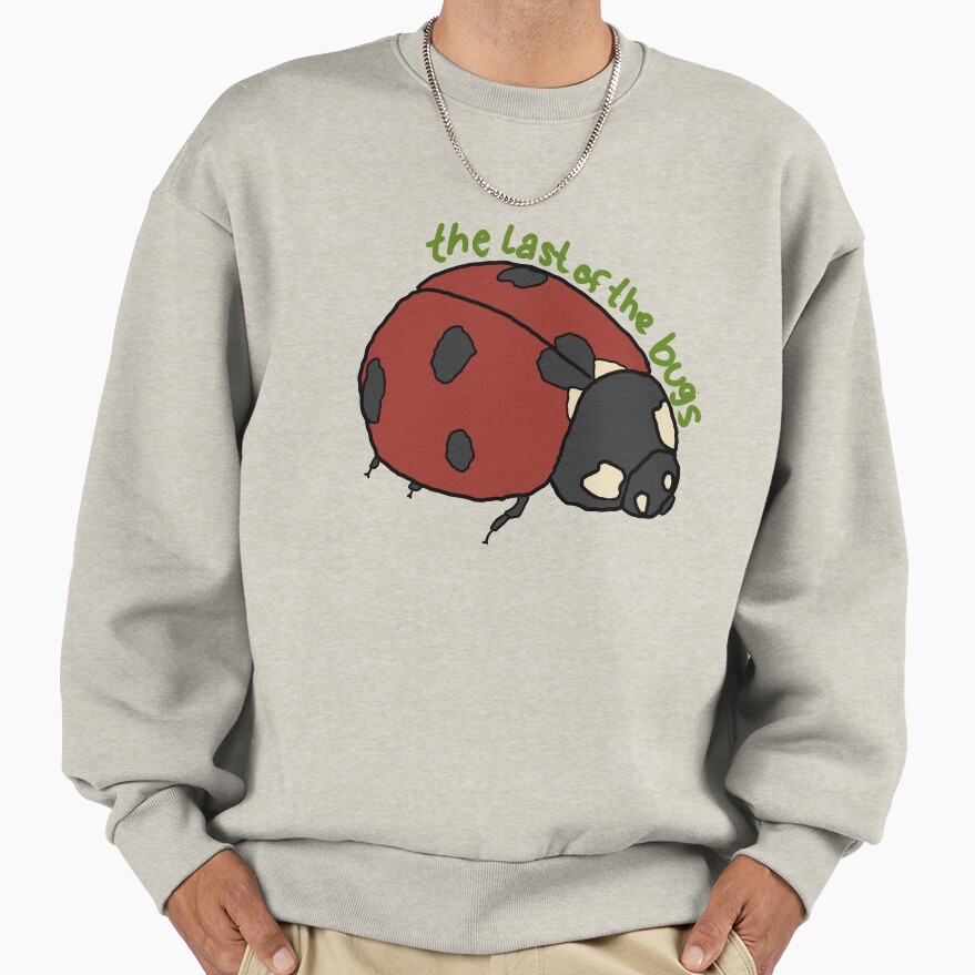 Noah Kahan The Last Of The Bugs Sweatshirt - Image 3